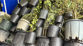 Defra: 'We are not seeing routine delays at the border'