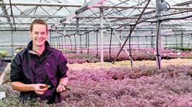 How Kernock Park Plants grew to become a leading ornamentals propagator ...