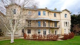 Head Gardener: Bare-root plants tick all the boxes for winter planting + Jane Moore VIDEO