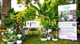 HortWeek helps to choose 2025 office plant of the year