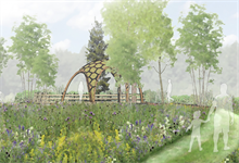RHS Chelsea Show garden revealed in heart of National Forest - Vimarsana News