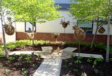 Sheffield landscape firm completes Healing Garden at Royal Derby Hospital