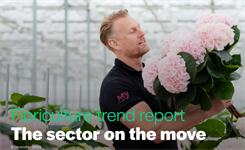 Dutch growers worried about sustainability