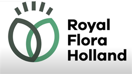 Dutch launch new horticulture show, Arb Show off + 2026 horticulture events calendar