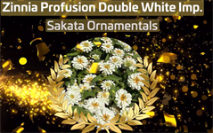 Fleuroselect award winning plants named