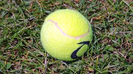 Wimbledon tennis expansion meets High Court action