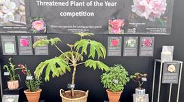 Plant Heritage names Threatened Plant of the Year winners