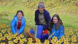 £300k raised for charity through sales of ceramic daffodils - Vimarsana News