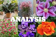 RHS Chelsea Flower Show new plants shortlist analysis