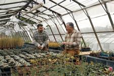 Former Great Dixter gardener opens nursery - Vimarsana News