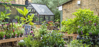 hortweek.com - HortWeek - Kew retail goes peat-free