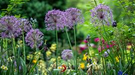 Tate Britain seeks new head gardener