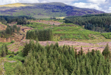 Forest Research publishes research on future woodland use - Vimarsana News