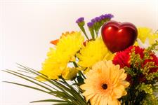 Dutch floriculture plea for SPS agreement ahead of Valentine's Day peak
