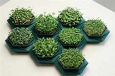 RHS 'Sustainable Excellence' shortlist announced