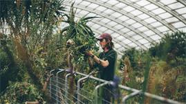 National Botanic Garden of Wales secures more funding for ‘vital’ apprenticeships