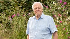 BBC plans gardening programmes for David Attenborough's 100th