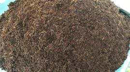 Peat-frees need to be as good as professional peat-based growing media: Leading horticulturist hits out after herbicide issue