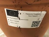 Plant passport implementation 