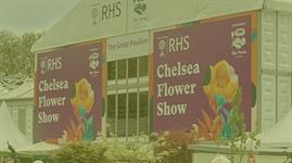 HortWeek Survey: Which show garden will win at RHS Chelsea Flower Show 2024? - Vimarsana News