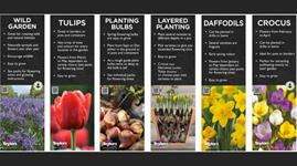 Taylors Bulbs Launches New Pos For Autumn 2023 