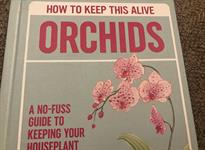 Book review: How to Keep This Alive Orchids