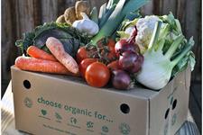 UK organics production area static