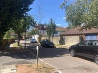 A fifth of newly planted trees do not survive, finds new report