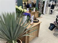 What plants will do well in 2026?