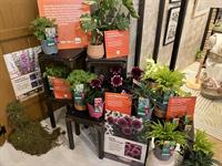 Own brand reaches 50% of market share