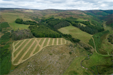 New study shows that extensive tree planting would be necessary to achieve net-zero carbon emissions in Scotland’s livestock sector by 2050