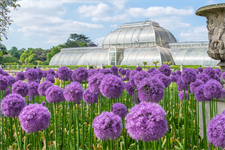 Royal Botanic Gardens, Kew to Join Industry Collaboration at New Scientist Live 2026