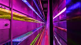 Vertical Future wins CEA recognition - Vimarsana News