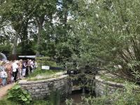 Landform Consultants' Welcome to Yorkshire wins RHS People's Choice award again