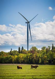 Most of GE's turbines are installed in Ontario