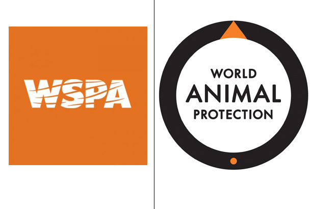 The World Society for the Protection of Animals tackles 