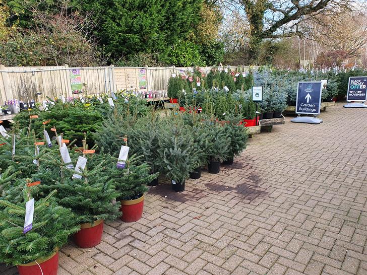 Christmas displays at Notcutts Garden Centre in Ditchling, East Sussex in 2021.