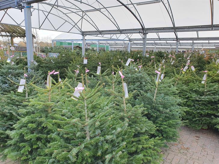 Christmas displays at Notcutts Garden Centre in Ditchling, East Sussex in 2021.