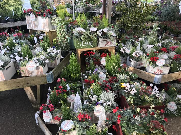 Blue Diamond, Lower Morden's garden centre Christmas display for 2021