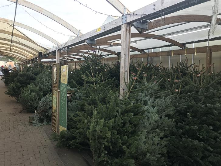 Blue Diamond, Lower Morden's garden centre Christmas display for 2021