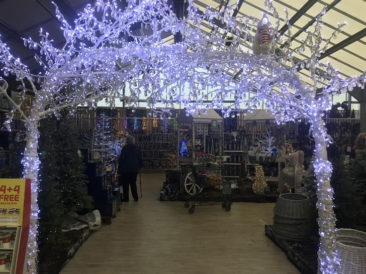 blue diamond garden centre christmas lights