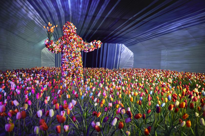 The experience closes with a field of tulips