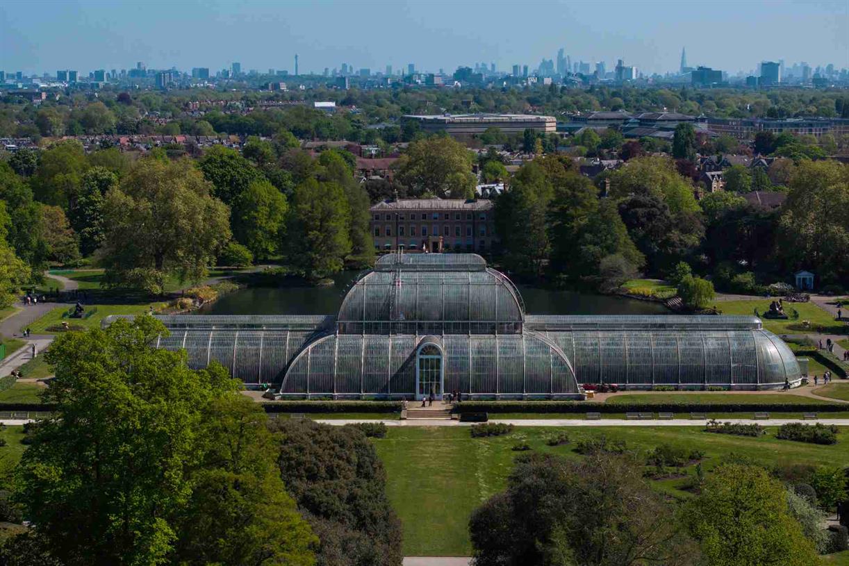 Kew Gardens charities ‘streamlined’ in £20m merger
