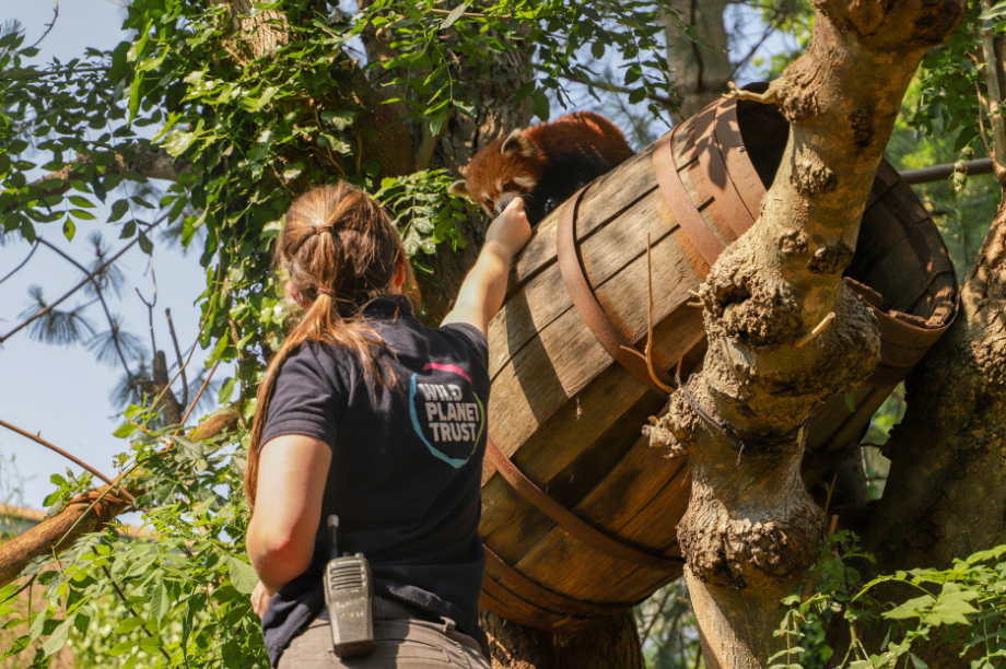 Charity sells its two zoos to Dutch leisure company