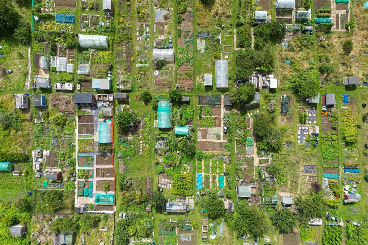 Trustees of allotment charity ‘lacked understanding of their duties’, regulator finds