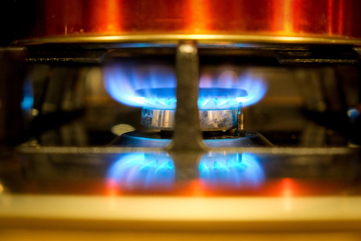 Animal welfare charity hit by £12,000 VAT bill from energy supplier