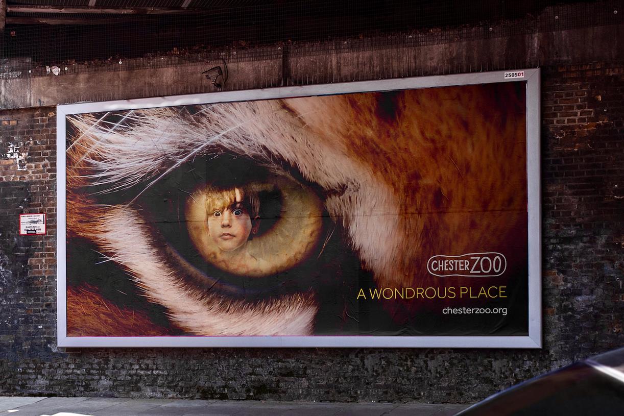 Chester Zoo offers a child's eye view in 'A wondrous place' TV spot