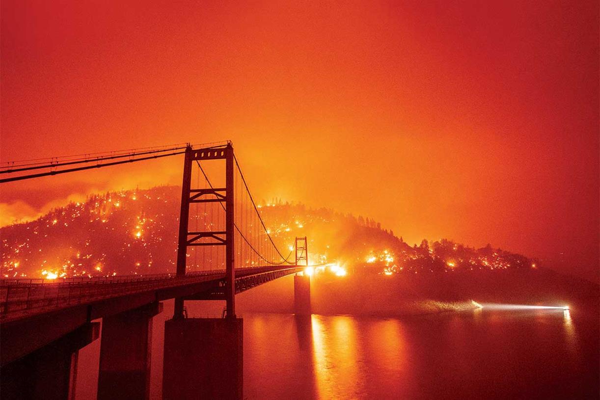 Review of 2020: The year we became 'accidental climate heroes' - Vimarsana News