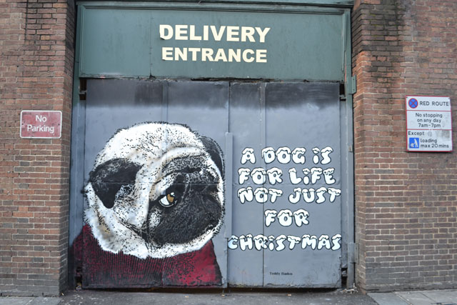 Dogs Trust commissions artists to bring 'dog is for life' slogan to the ...