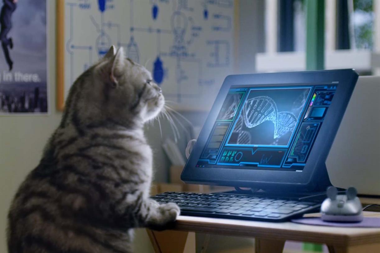 Whiskas kitten advert 2015 sale